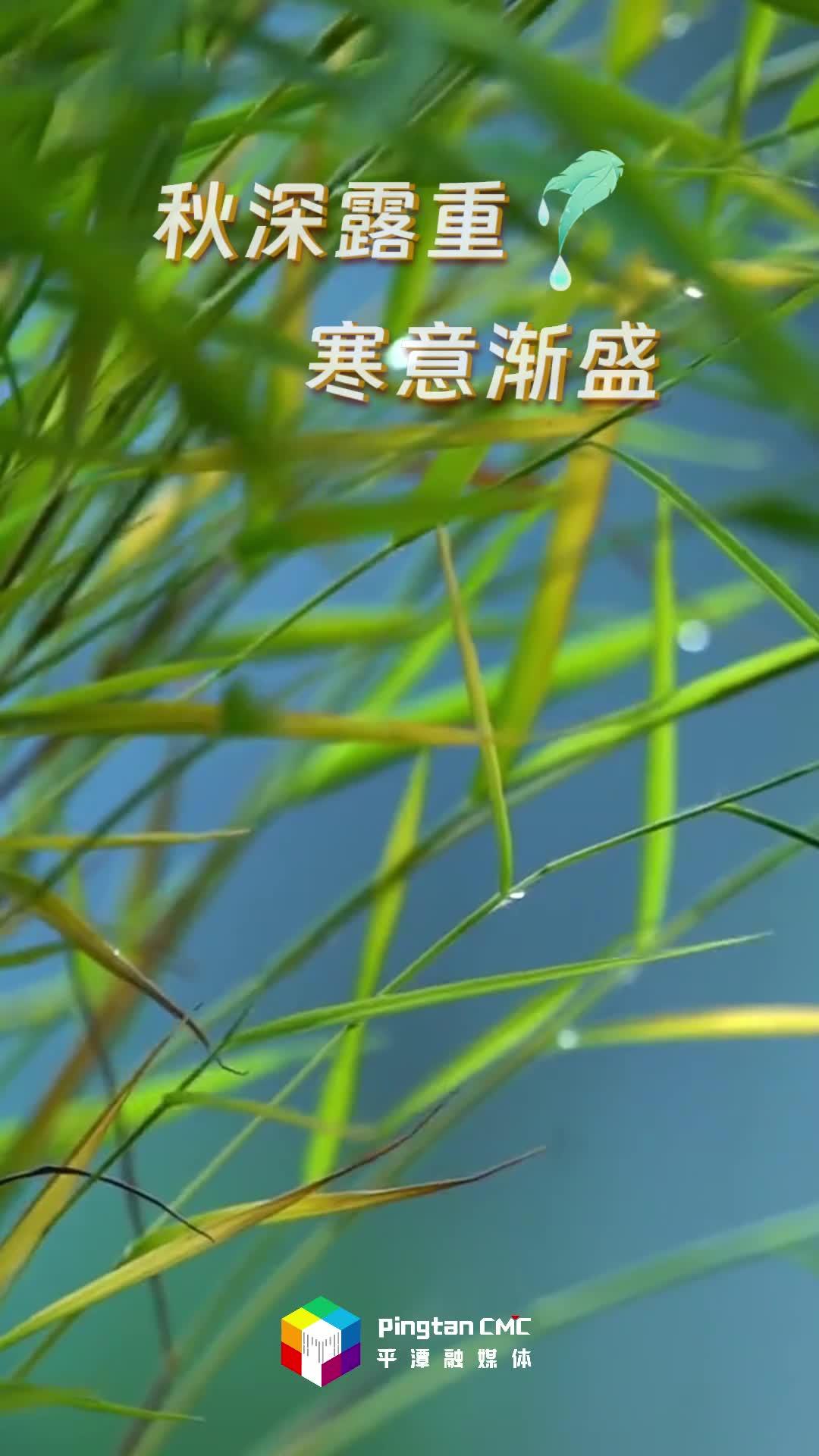 24節(jié)氣丨寒露：漫步在平潭，海島秋光無限好