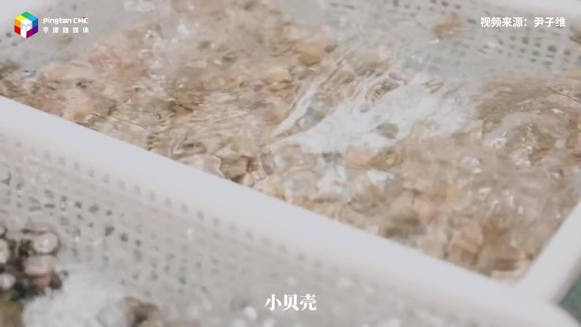 跟著博主尹子維，感受平潭夜晚的海鮮自由