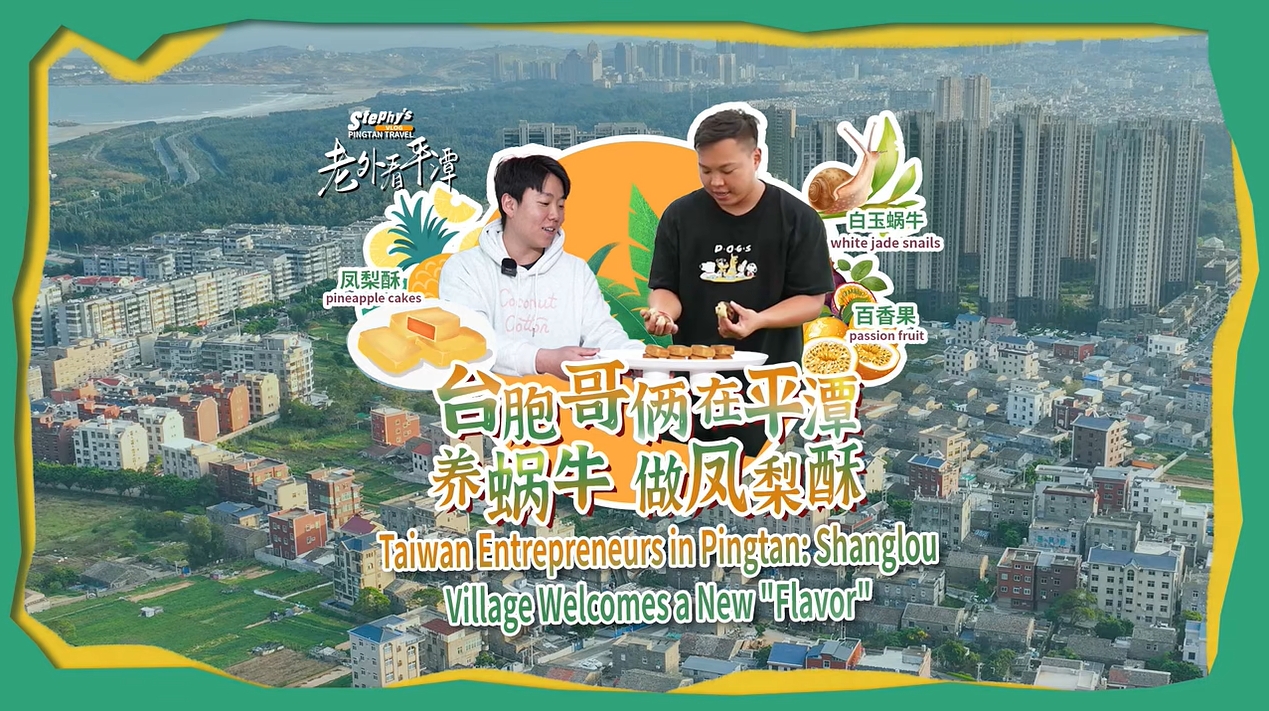 老外看平潭丨臺(tái)胞哥倆在平潭養(yǎng)蝸牛、做鳳梨酥