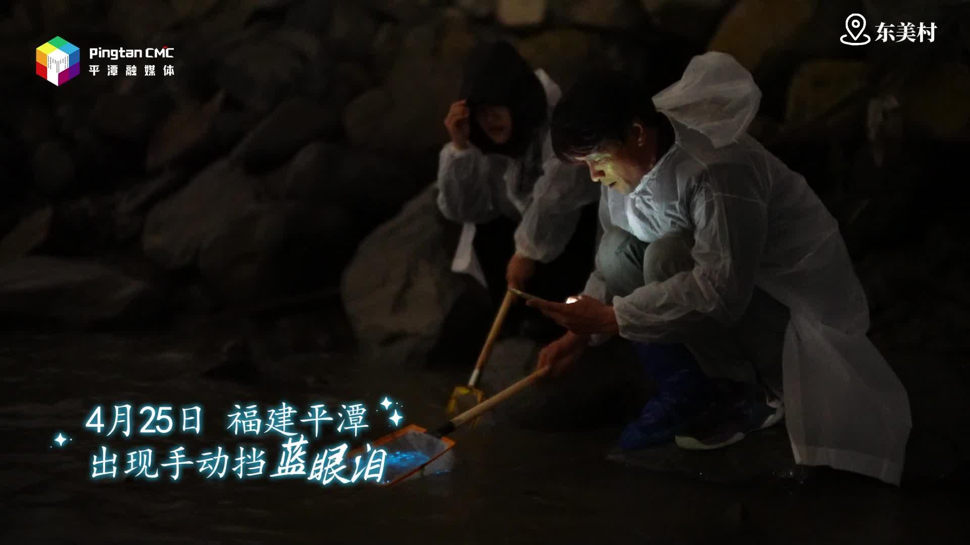 平潭東美村藍(lán)眼淚手動“上線”