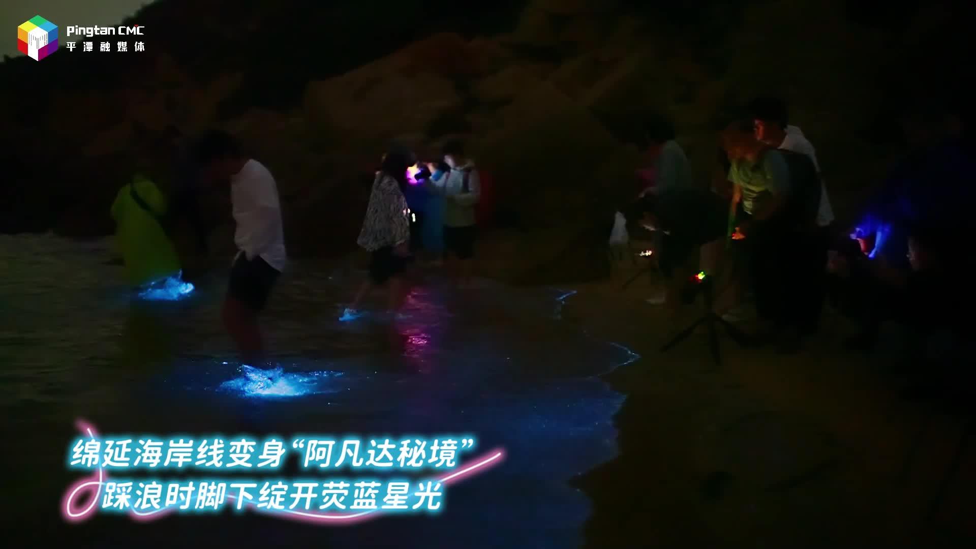 浪漫藍(lán)眼淚連續(xù)一周高頻出現(xiàn)